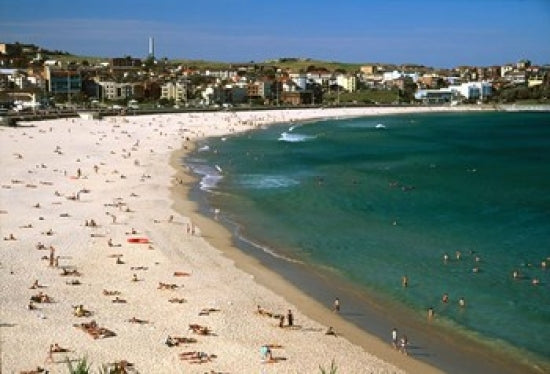 Bondi Beach, Sydney, Australia Poster Print by David Wall