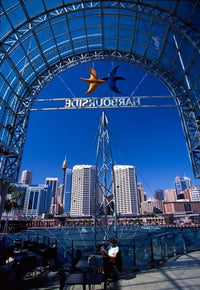 Darling Harbor, Sydney Harbor, Australia Poster Print by David Wall