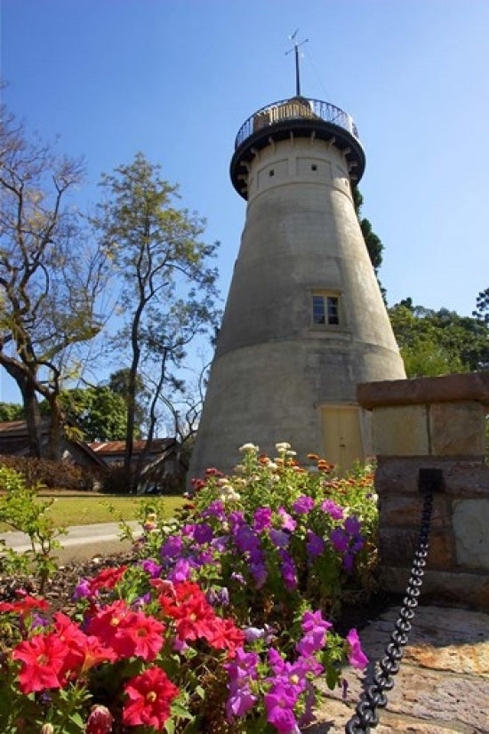 Old Windmill Brisbane Queensland Art Print by David Wall