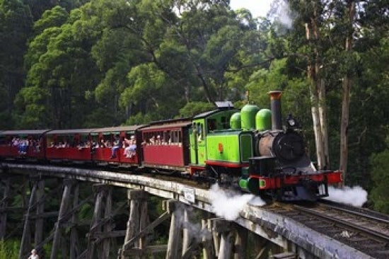 Puffing Billy Steam Train Poster Print showcasing the scenic Dandenong Ranges near Melbourne, Australia.