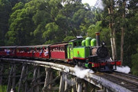 Puffing Billy Steam Train Poster Print showcasing the scenic Dandenong Ranges near Melbourne, Australia.