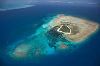 Green Island Great Barrier Reef Queensland Australia Poster Print by David Wall