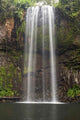 Millaa Millaa Falls Poster Print by David Wall showcasing stunning Australian landscape