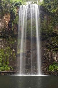 Millaa Millaa Falls Art Print by David Wall showcasing lush Australian landscape.