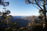 Jamison Valley Poster Print by David Wall showcasing the beauty of the Blue Mountains in Australia.