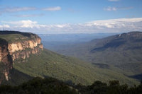 Australia Blue Mountains Jamison Valley Poster Print by David Wall