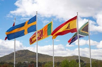 Australia International Flags Poster Print by David Wall showcasing Commonwealth flags.