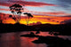 Sunset over Binalong Bay, Bay of Fires Poster Print by David Wall