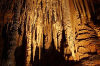 Stalactites at Newdegate Cave Art Print by David Wall, showcasing stunning natural formations.