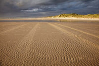Sand Ripples Beach Poster Print by David Wall showcasing Tasmania's coastal beauty.