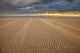 Sand Ripples Beach Poster Print by David Wall showcasing Tasmania's coastal beauty.