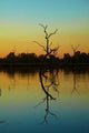 Dead Trees at Lily Creek Lagoon poster print by David Wall, showcasing a tranquil Australian landscape.