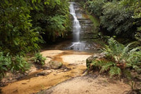 Pool of Siloam Waterfall Art Print by David Wall - Stunning nature scene from New South Wales, Australia.
