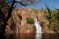 Cascade of Wangi Falls art print featuring lush greenery and cascading waters by David Wall.