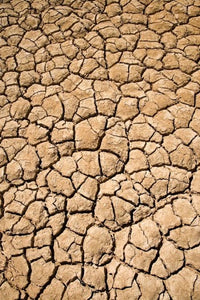 Dry Irrigation Pond poster print by David Wall featuring the Outback in South Australia.
