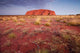 Uluru-Kata Tjuta National Park Poster Print by Paul Souders showcasing Ayers Rock.