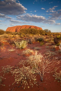 Uluru-Kata Tjuta National Park Poster Print by Paul Souders