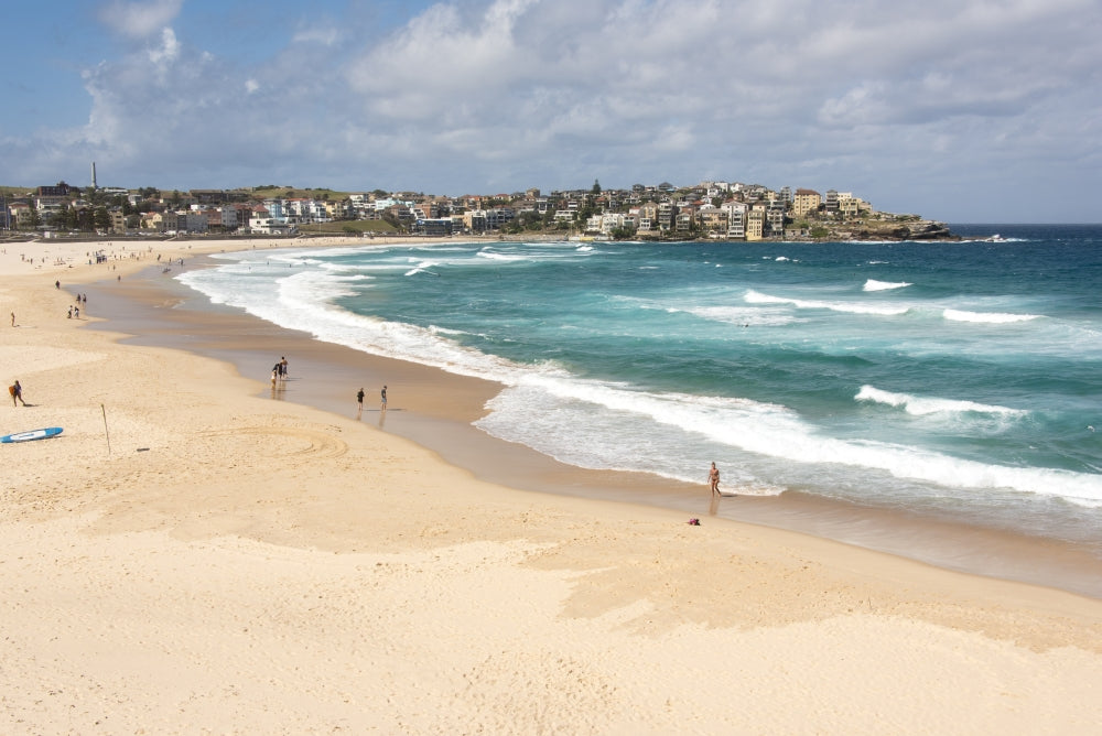 Bondi Beach Coastal Walk Poster Print by Trish Drury
