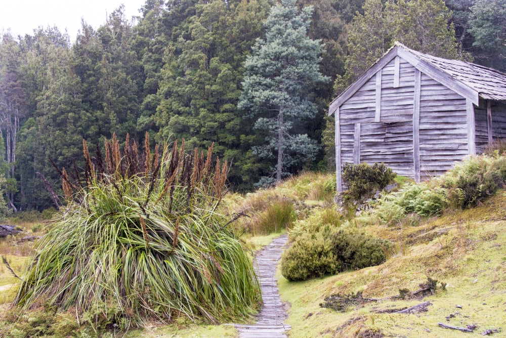 Cradle Mountain-Lake St. Clair National Park Poster Print by Trish Drury showcasing DuCane Hut.