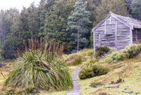 Cradle Mountain-Lake St. Clair National Park Poster Print by Trish Drury showcasing DuCane Hut.