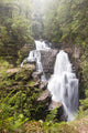 D'alton Falls at Cradle Mountain-Lake St. Clair NP Poster Print by Trish Drury