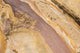 Bondi to Coogee Coastal Walk Patterns in Sandstone Poster Print
