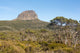 Morning Light on Barn Bluff and Eucalyptus Forest Poster Print by Trish Drury