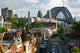Sydney George Street Poster Print by Walter Bibikow showcasing urban scenery.