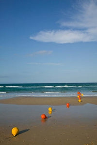 Rainbow Beach Poster Print by Walter Bibikow showcasing vibrant colors and serene landscapes.