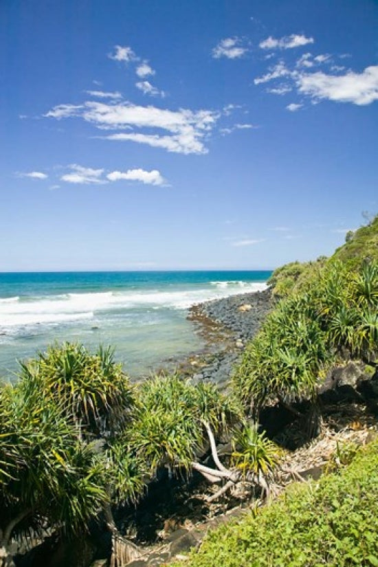 Australia Gold Coast Burleigh Head National Park Beach Poster Print by Walter Bibikow