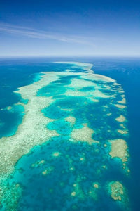Great Barrier Reef Elford Reef Poster Print by Walter Bibikow showcasing vibrant marine life.