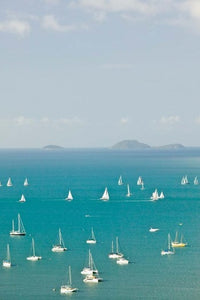 Sailboats in Airlie, Whitsunday, Queensland Poster Print by Walter Bibikow