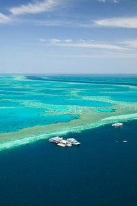 Australia Great Barrier Reef Poster Print by Walter Bibikow