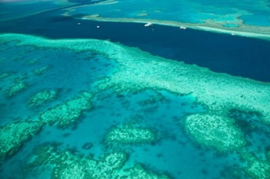 Whitsunday Coast Great Barrier Reef Poster Print by Walter Bibikow