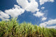 http://c328301.r1.cf1.rackcdn.com/PDDAU01WBI0591.jpg