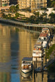 Brisbane River Marina Boats Poster Print by Walter Bibikow