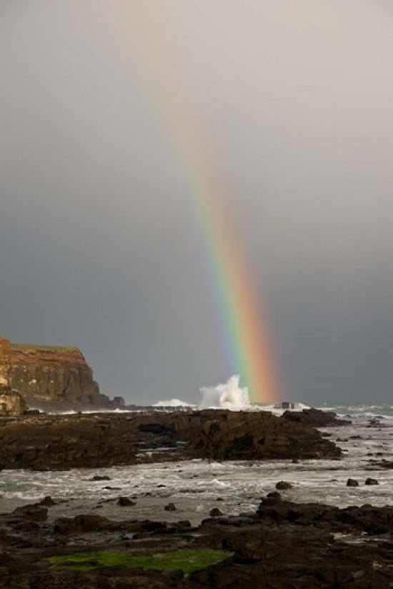 New Zealand South Island Rainbow Over Curio Bay Poster Print