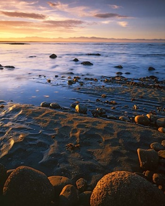 Sunset Over Tasman Bay Poster Print by Charles Gurche