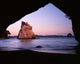 Coastline at Cathedral Cove Coromandel Peninsula Poster Print by Charles Gurche
