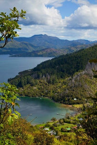 Queen Charlotte Track poster print showcasing Marlborough Sounds in New Zealand.