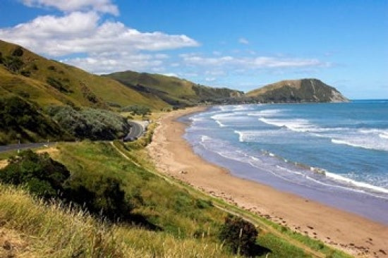Makorori Beach near Gisborne Poster Print by David Wall