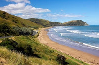 Makorori Beach near Gisborne Poster Print by David Wall