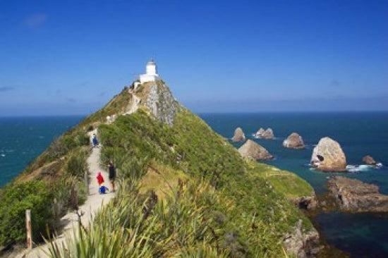 Lighthouse at Nugget Point Poster Print by David Wall showcasing beautiful New Zealand landscape.