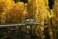 Autumn Colors at Victoria Bridge in Kawarau Gorge, New Zealand Poster Print by David Wall