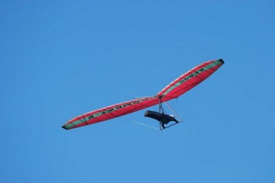 Hang Glider Over Otago Peninsula Poster Print by David Wall