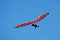 Hang Glider Over Otago Peninsula Art Print by David Wall showcasing stunning New Zealand landscapes.