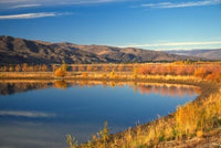 Boat Harbour, Lake Dunstan, Central Otago, New Zealand Poster Print by David Wall