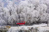 Four Wheel Drive and Hoar Frost landscape poster print by David Wall, showcasing the beauty of Sutton, Otago, New Zealand.