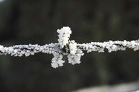 Frosty Barbed Wire landscape poster print by David Wall, showcasing the beauty of New Zealand.