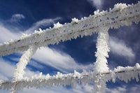 Frosty Wire Fence Poster Print by David Wall depicting winter landscape in Otago, South Island, New Zealand.